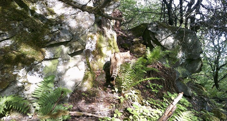 DSCF0027.JPG